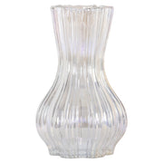 Vaas Cracy small (Iridescent)