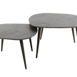 Salontafel Rock organisch — Set van 2