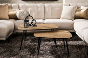 Salontafel — XXL metallic — Set van 2