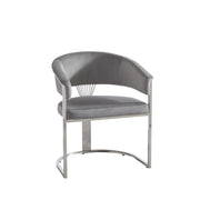 Ariana Eetakamerstoelen Velours Grijs Zilverkleur