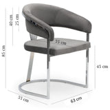 Ariana Eetakamerstoelen Velours Grijs Zilverkleur