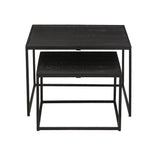 Salontafel 'Quinn' 2-delig Mango hout Zwart