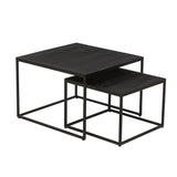 Salontafel 'Quinn' 2-delig Mango hout Zwart