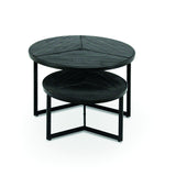 Salontafel 'Laveu' 2-delig Mango hout zwart