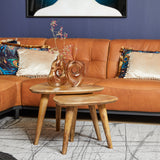 Salontafel Omaha | | Set van 2