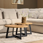 Salontafel Austin | | Set van 2