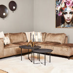 Salontafel Arlington Black | | Set van 2