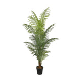 Plant Areca Palm 200 CM