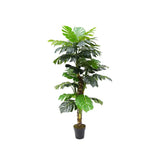 Plant Monstera Plant 160 CM