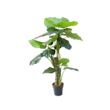 Plant Taro Plant 130 CM