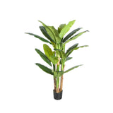 Plant Banana Tree 170 CM
