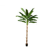 Plant Banana Tree 300 CM