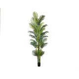 Plant Areca Palm 300 cm