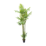 Plant Areca Palm Large 340 cm