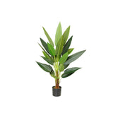 Plant Strelitzia 95 cm