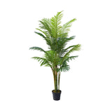 Plant Areca Palm 150 CM